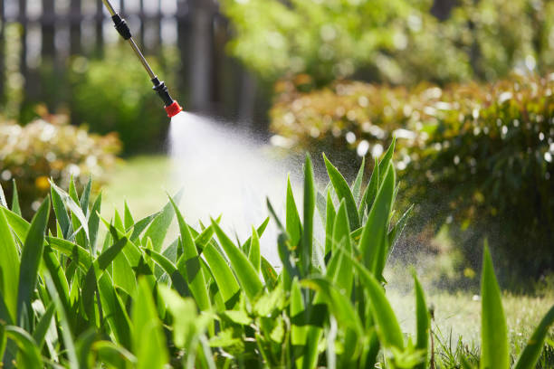Tamper-Resistant Bait Stations for Rodents in Moville