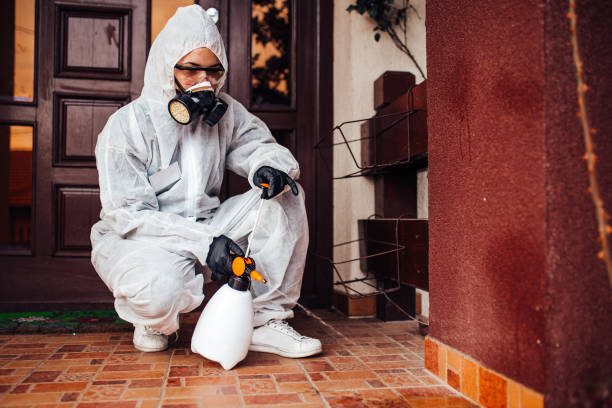 Attic and Crawl Space Rodent Treatment in Moville